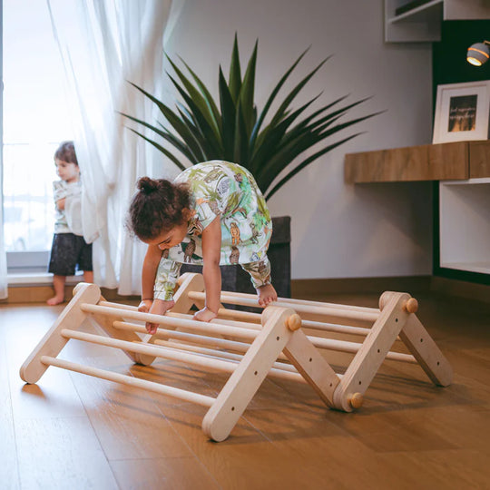 Ette Tete MOPITRI® 4-segment aanpasbare klimdriehoek