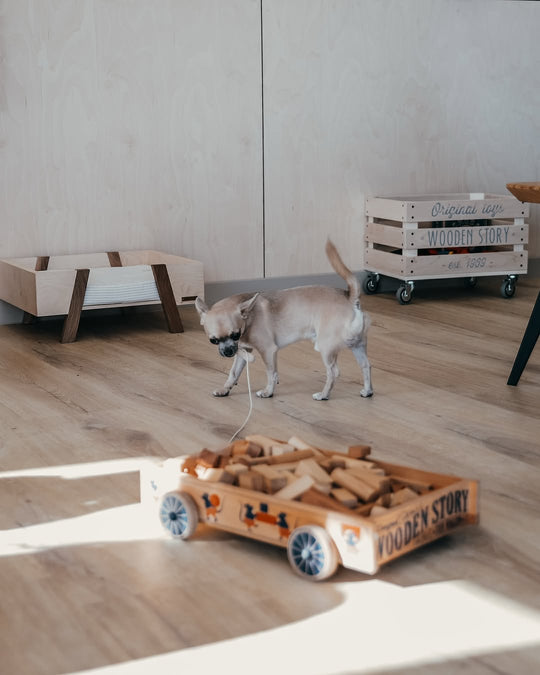 Wooden Story Wooden Wagon