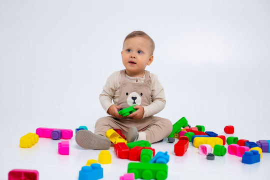 Zachte Bioblokken Set - 21 stuks