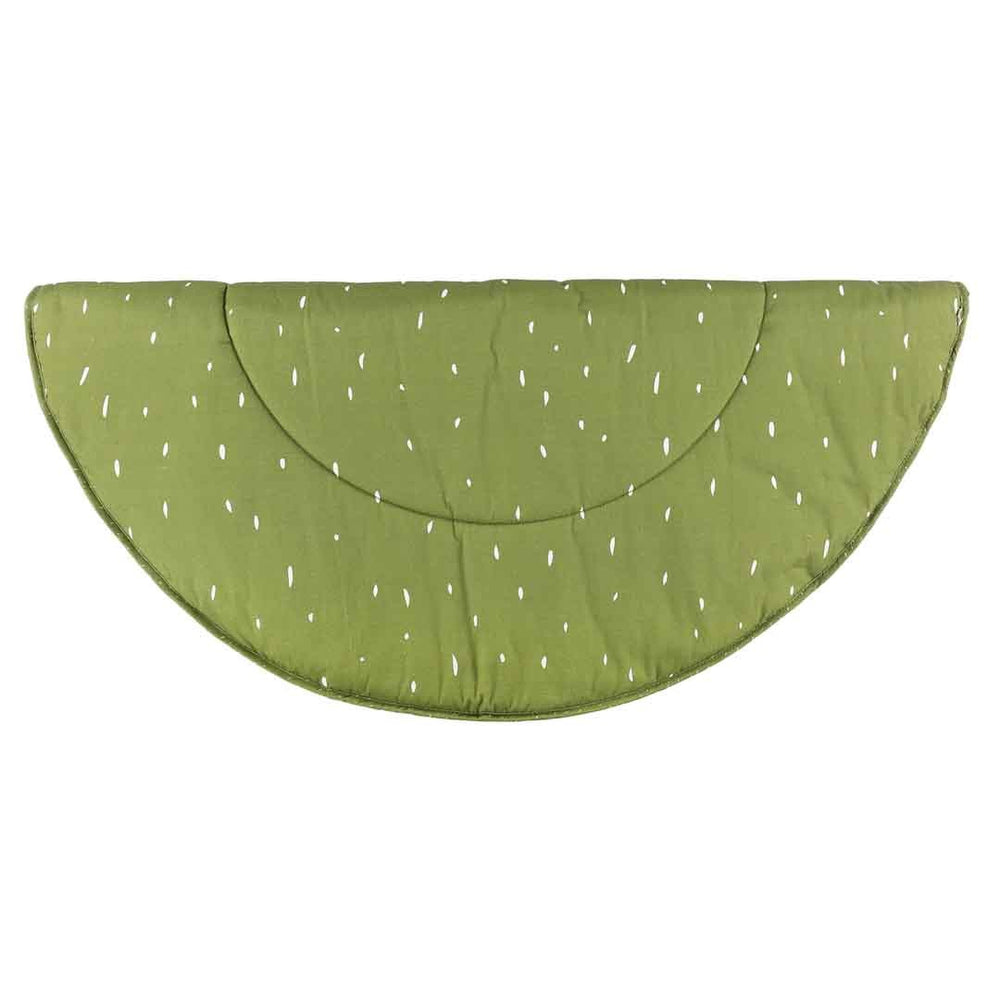 Activity Play Mat with Arches - Mr Dino