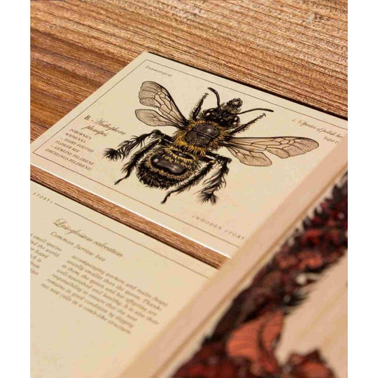 Wooden Blocks Bee Life - Species