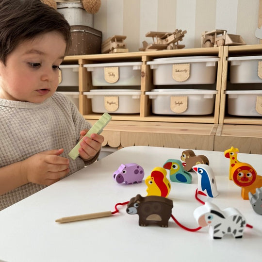 Safari Animal Shaped Wooden Threading Blocks