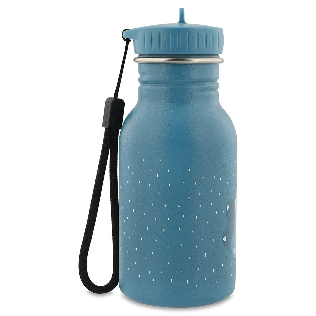 Stainless Steel Bottle 350 ml - Mr. Triceratops