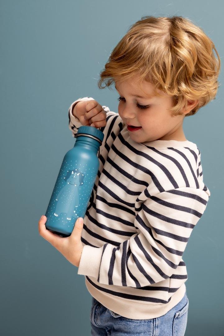 Stainless Steel Bottle 350 ml - Mr. Triceratops