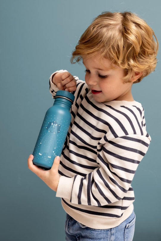 Stainless Steel Bottle 350 ml - Mr. Triceratops