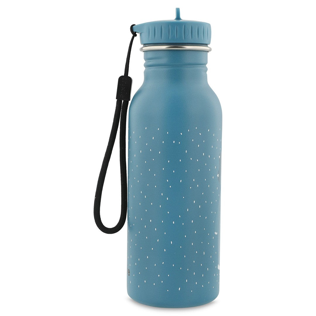 Stainless Steel Bottle 500 ml - Mr. Triceratops