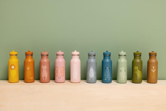 Stainless Steel Bottle 500 ml - Mr. Dragon