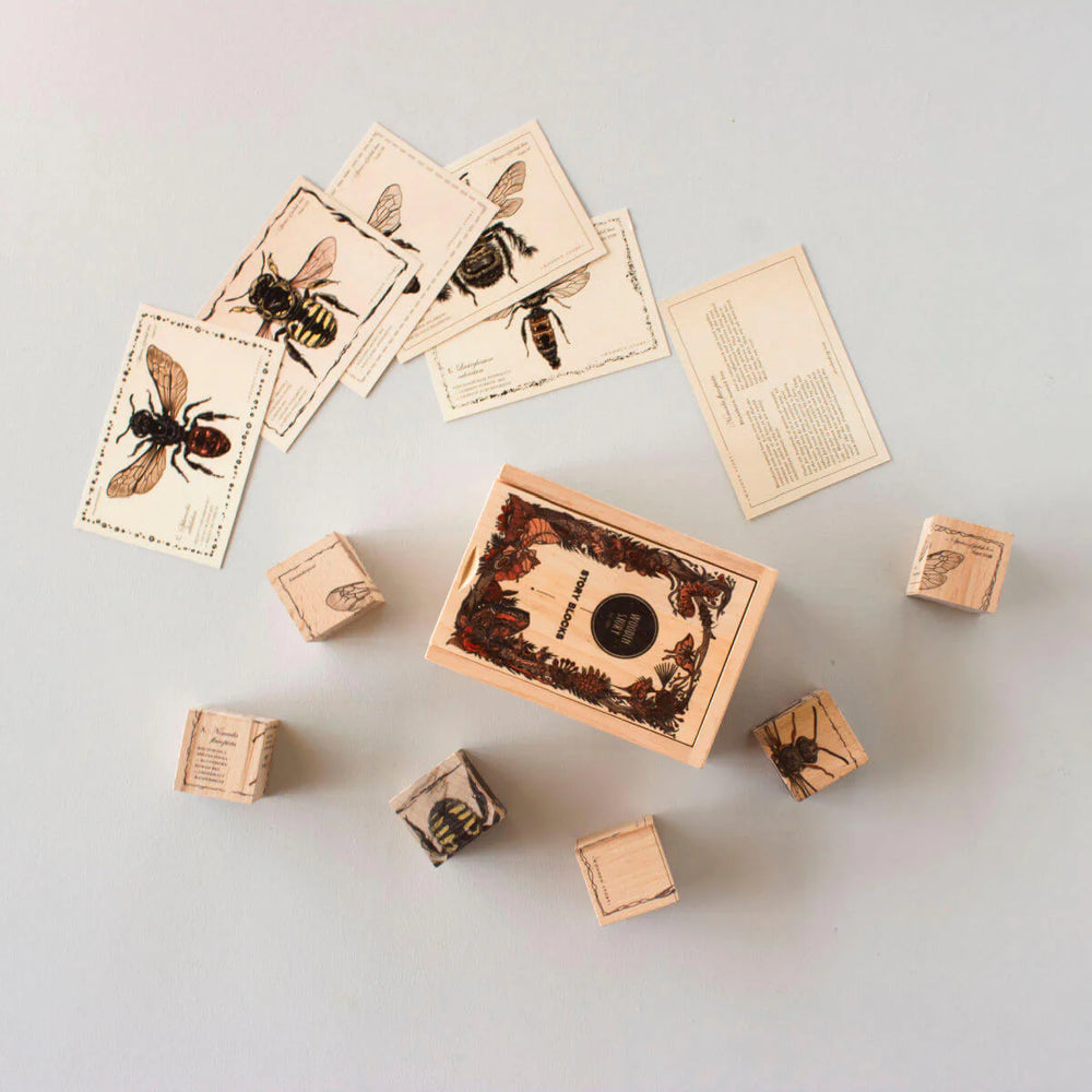Wooden Blocks Bee Life - Species